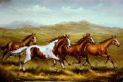 unknow artist Horses 05 Spain oil painting artist